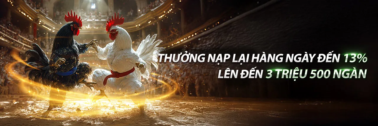 Đá Gà Trực Tiếp 99vz bet